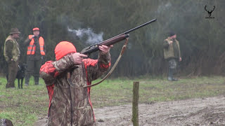 Spoločná poľovačka na bažanty PZ Lyska Beša 2015 | common hunting for pheasants