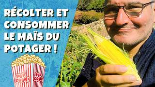 Récoltez et cuisinez le maïs comme un pro ! (sans gluten !) 🌽🍿