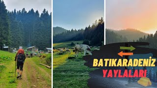 Batıkaradaniz Yaylalarında Muhteşem Rota  -  Torkul - Çavşur - Odayeri Yaylası