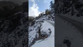 1-02-2023/ Mayudia Pass | Roing | Arunachal Pradesh | #shortvideo #short #snow #viral #tiktokvideo