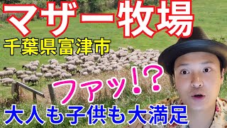 【マザー牧場】大人も子供も大満足で草www (千葉県富津市)