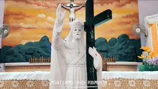 Feast of Christ the king 👑 | ക്രിസ്തുരാജ തിരുനാൾ | mount carmel church perumkulam | Christian | 2022