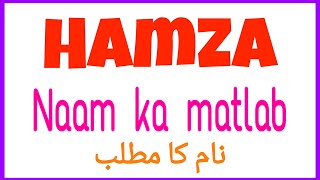 Hamza ka urdu matlab | Hamza naam ke urdu mayne | Hamza name meaning