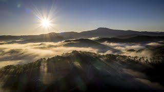 fog || beautiful sunrise || nature || whatsapp status || whatsapp status video || HD 1080p || new