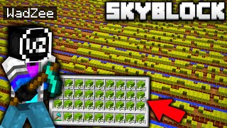 I Built the BIGGEST MELON FARM EVER on Minecraft Skyblock!