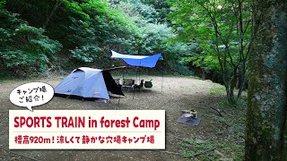 【SPORTS TRAINキャンプ場紹介】山梨県富士河口湖町の西湖の近くのキャンプ場「SPORTS TRAIN in Forest camp」を隅々まで歩き回ってご紹介します！