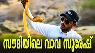 സൗദിയിലെ വാവ സുരേഷ് | Vava Suresh | Snakemaster | Vava Latest | Snake | Surya News Malayalam