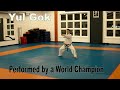 Yul Gok performed by Joel Denis