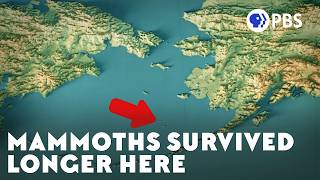 The Second-to-Last Mammoths Ever
