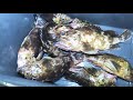 ボートで釣った根魚をキャンプしながら食べる贅沢！