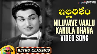Niluvave Vaalu Kanula Daana Video Song  Illarikam Movie  Anr  Jamuna  Old Telugu Hit Songs