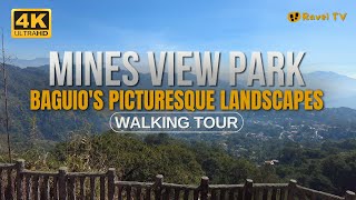 Mines View Park | Baguio City | Walking Tour 2024 | 4k