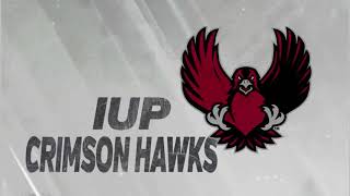 2018-19 IUP Men's Basketball Highlights