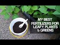 MY GARDEN FERTILIZERS REVEALED | 3 Types of fertilizers I use to keep my vegetable garden productive