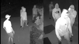 Police seek 4 suspects after nature preserve in Niagara Falls damaged