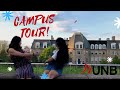 My University Tour | University of NEW BRUNSWICK | Canadian University | OJASWI JOSHI