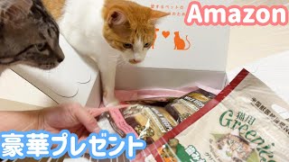 Amazonさんから猫たちに美味しいものが届きました！