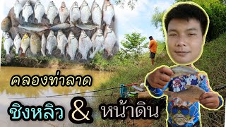 EP76 ชิงหลิว\u0026หน้าดิน|คลองท่าลาด|พนมสารคาม|จิมตกปลาพาเลาะ