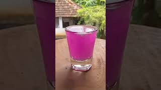 വെള്ളത്തിൻ്റെ നിറം മറ്റിയലോ l Let's change the colour of water