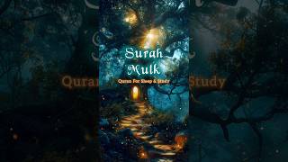 Relaxing Qur'an ✨ ❣️ #islam #quran #shorts #youtube