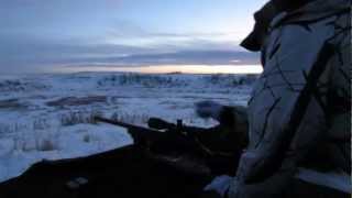 sniper head shot on a doe 640 yards