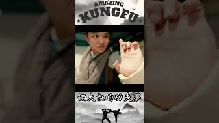Hong quan  #chinesekungfu #amazingkungfu #kungfu #wushu