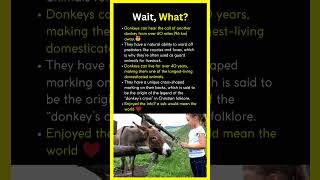 Donkeys Can Hear From HOW FAR?! 🐴🔊