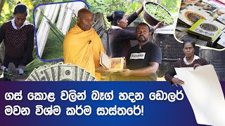 ඩොලර් මවන විශ්ම කර්ම සාස්තරේ! 💲💰