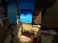 Dodiya peanut splitting machine