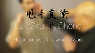 A Wing Chun Journey to the Heart (Idiom 14 of 22 — Luk Sau Jik Chong)