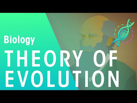 Which is part of the theory of evolution by natural selection apex?