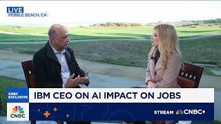 IBM CEO: Fears about AI bubble are overblown