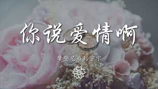 摩登兄弟劉宇寧 - 你說愛情啊『你說愛情就像啊 滿載故事盛開的花』【動態歌詞Lyrics】