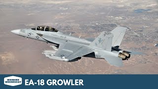 EA-18 Growler - Warbird Wednesday Episode #117