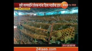 Osmanabad | Farmers Turns To Silk Farming From Traditional Farming