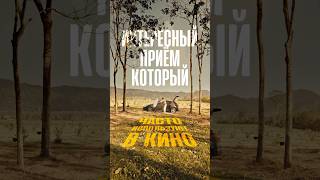 Киношная картинка, и что такое симметрия в кино #съемкамонтаж #breakingbad #кино #монтаж