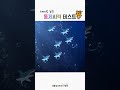 동체시력 테스트 빠른 움직임을 감지하는 능력자를 찾습니다✨ 눈검사테스트 밝은안과21병원 광주안과 광주안과추천