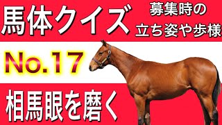 【一口馬主】馬体クイズ　NO.17　Ｇ１馬を探せ　正解編