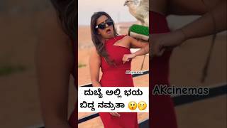 ದುಬೈ ಅಲ್ಲಿ ಭಯ ಬಿದ್ದ ನಮ್ರತಾ ಗೌಡ 😲🫢 ಯಾಕೆ ಅಂತ ನೋಡಿ 🤔 #namratagowda  #karthikmahesh  #ytshort  #dubai