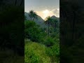 mount abu best view of kuwari kanya views viral youtubeshorts subscribe like