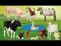 Farm animal sounds: cow, duck, chicken, sheep, goat, dog, cat - Part 14