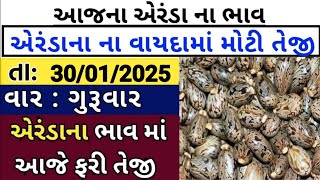 Arenda na bhav  | 30-01-2025 l એરંડા ના આજના ભાવ | Rajkot marketing yard and Patan marketing yard