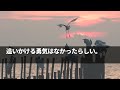 【感動する話】いつも塩対応で同僚に怖がられる美人上司。→ある日、飲み会で酔っ払った彼女を家に送ることに→酔った彼女は本音を話し…それを知った俺は…【泣ける話】朗読