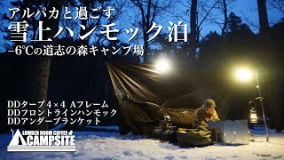 「雪上ハンモック泊」アルパカと過ごす−6℃の道志の森