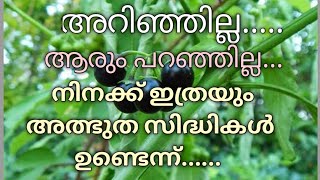 നിന്നെ പറ്റി അറിയാൻ ഒരുപാട് വൈകിപ്പോയി...എൻറെ വളപ്പിലെ നിനക്ക് ഇത്രയും അത്ഭുത സിദ്ധികളോ?മണിത്തക്കാളി