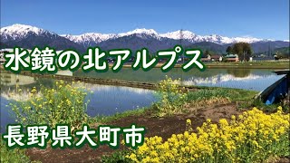 大町散策｜残雪の北アルプス　リフレクション　水鏡　館ノ内  農道 ｜高根町　りんご畑 りんごの花｜2020.5.11　長野県大町市【今日のねー散歩】