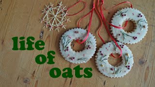 ☆ The Life of Oats | Christmas Cookies and Straw Stars ☆