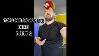 Touching Your Parrot ( Part 2 )