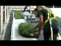 Blodgett Hospital Green Roof