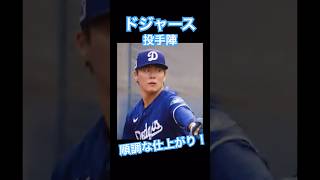 【MLB】山本由伸、佐々木朗希らドジャース投手陣、順調な仕上がりにロバーツ監督も大満足 #shoheiohtani #mlb #mvp #dodgers #大谷翔平 #wbc #真美子 #デコピン